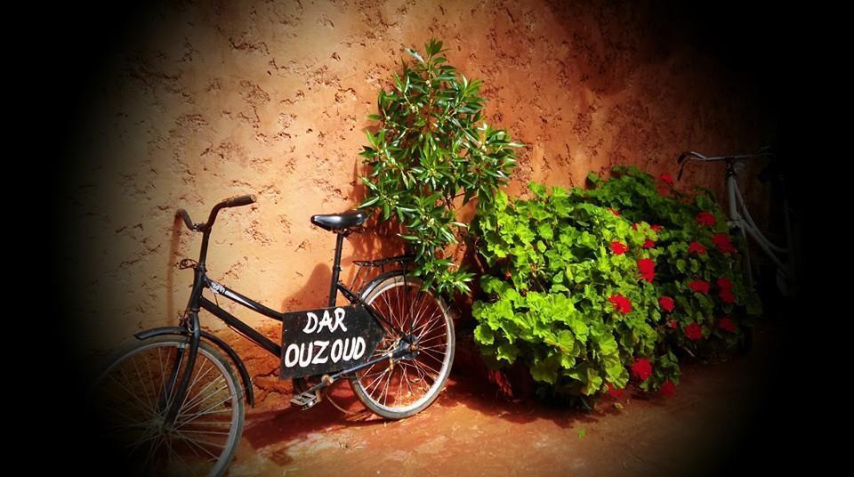 Dar Ouzoud Vegan Hotel Ngoại thất bức ảnh